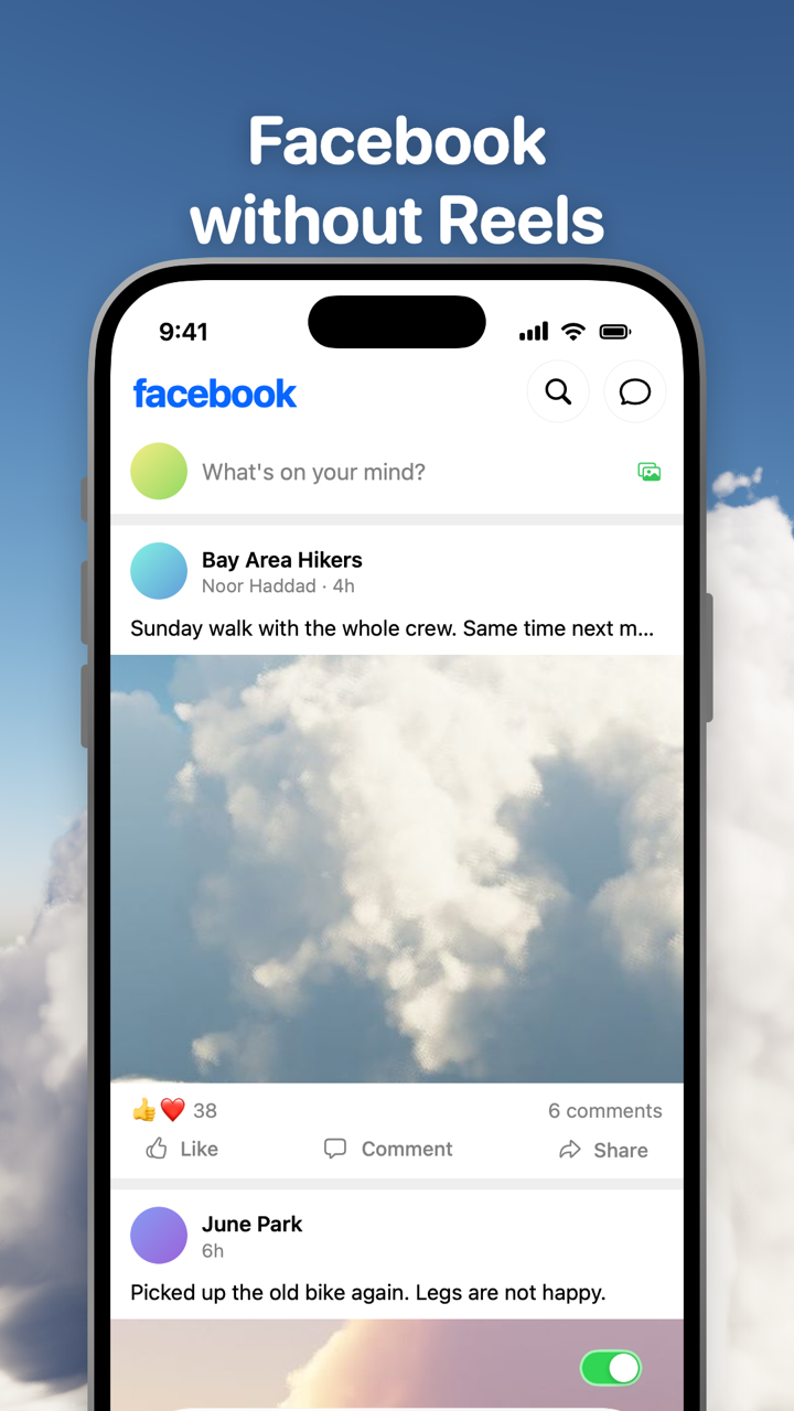 Facebook in Toggle