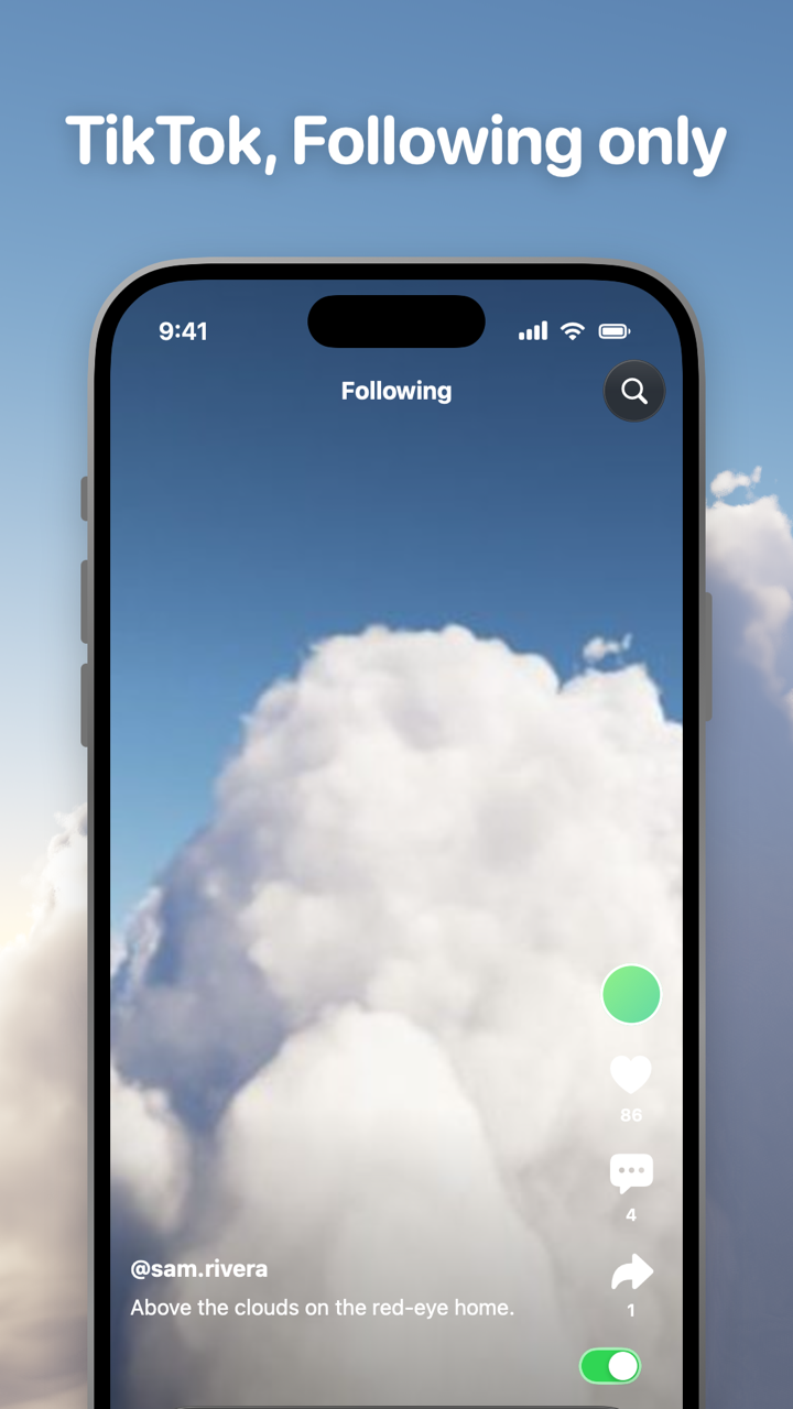 TikTok in Toggle